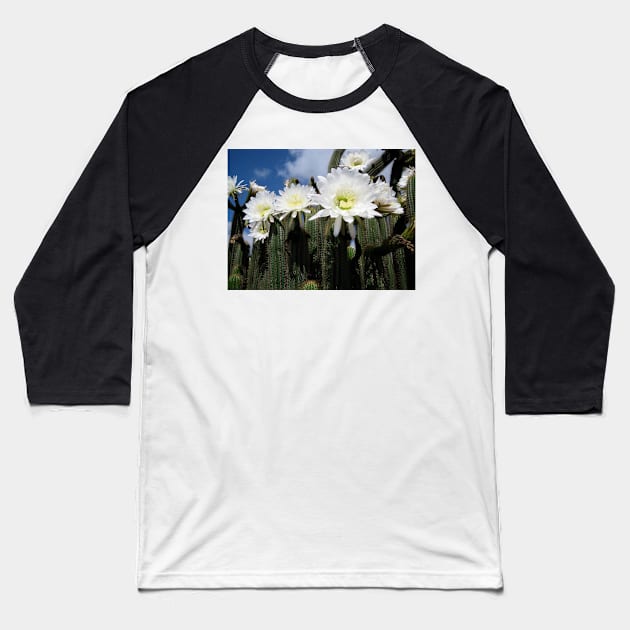 Cacti Flowers at Mount Gambier South Australia Baseball T-Shirt by Heatherian